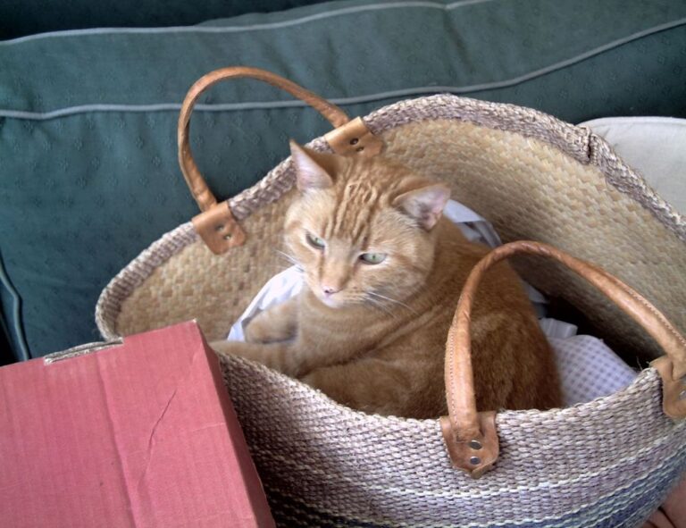 best tech news sites gmrrcomputer