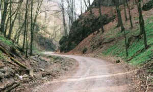 can you play as a team in the game honzava5