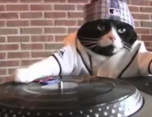 codes 8tshare6a python