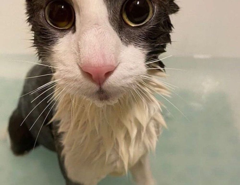 fntkech tech updates by fitness-talk