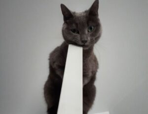 gfxpixelment photoshop guide bygfxmaker