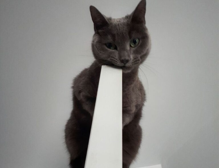 gfxpixelment photoshop guide bygfxmaker