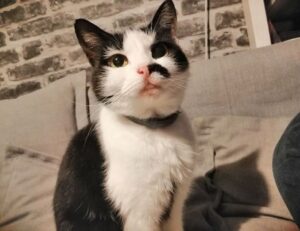 gmrrcomputer latest technology news from gamerawr