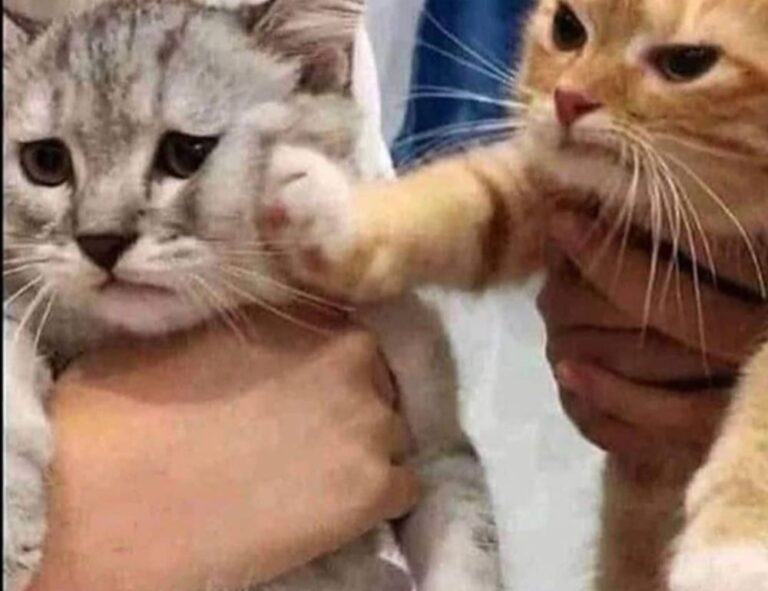 how automated storage works etrstech