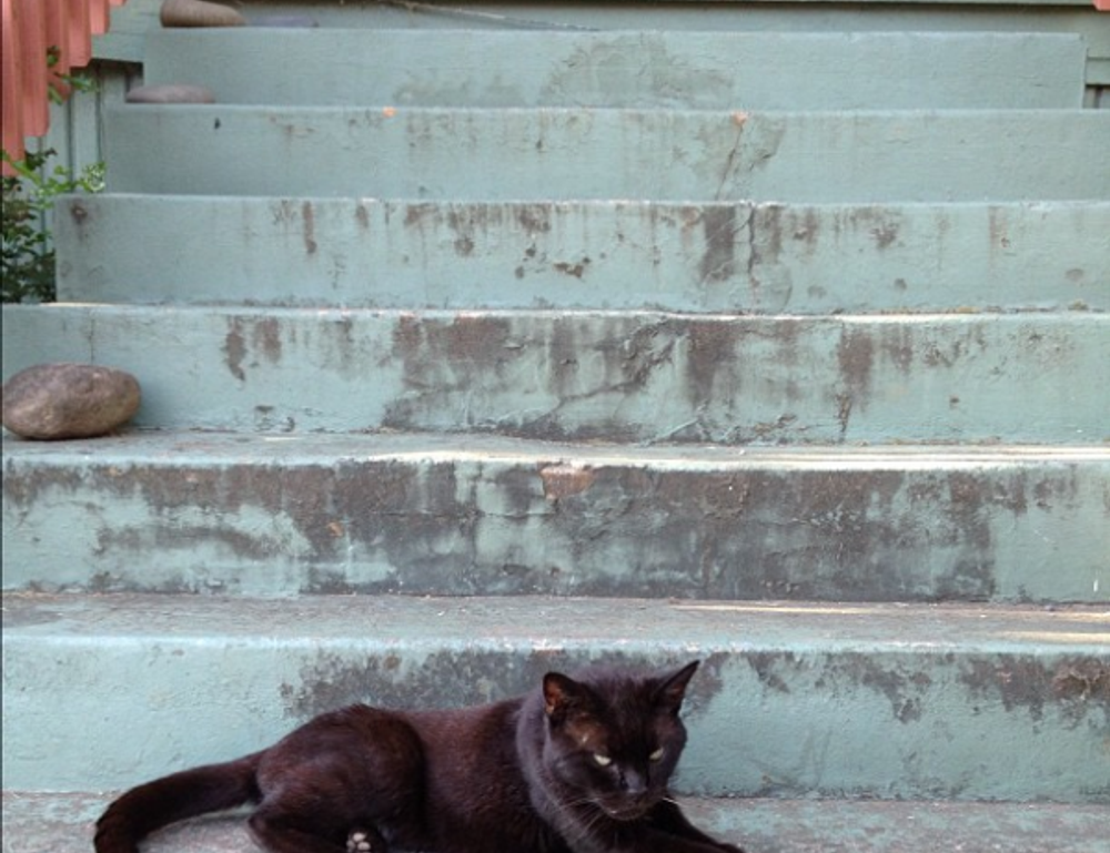 is kayudapu rich in iron