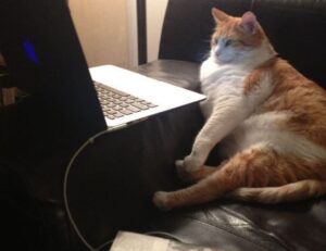 java software wbsoftwarement