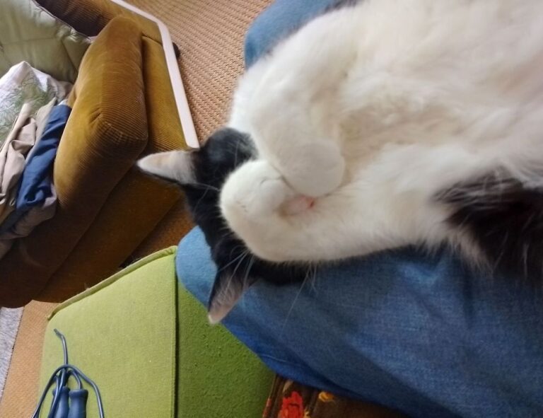 jotechgeeks technology updates from javaobjects