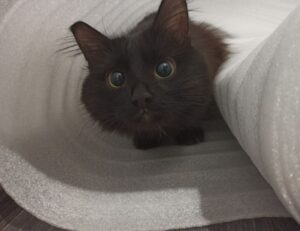 laptop with eye tracking cameras fntkech