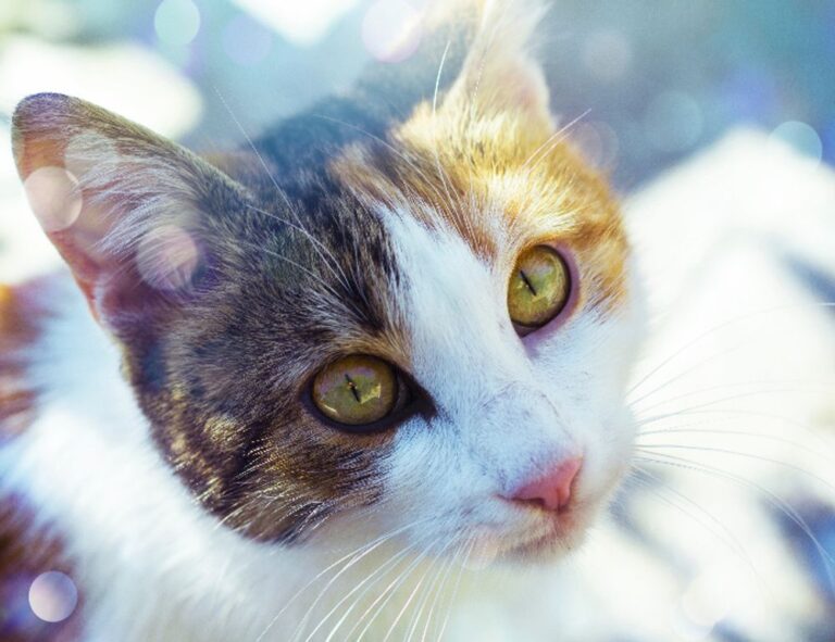 latest tech news gmrrcomputer