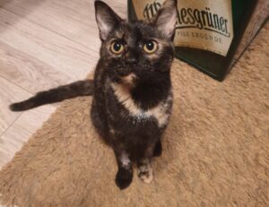 logo listings flpsymbolcity