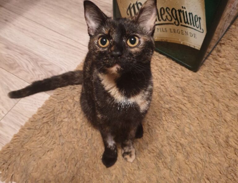 logo listings flpsymbolcity