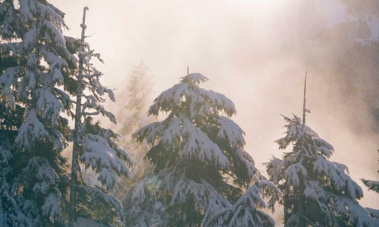 new software name 8tshare6a