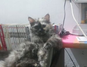 new technology trends roartechmental