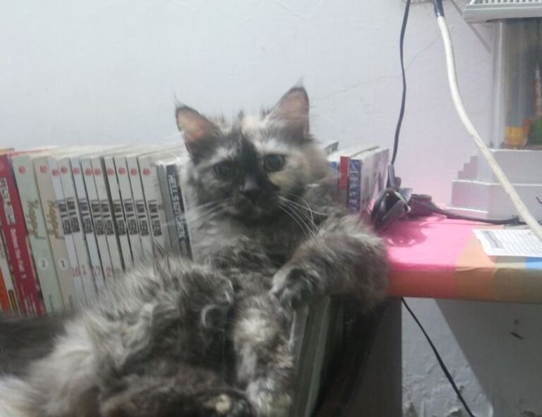 new technology trends roartechmental