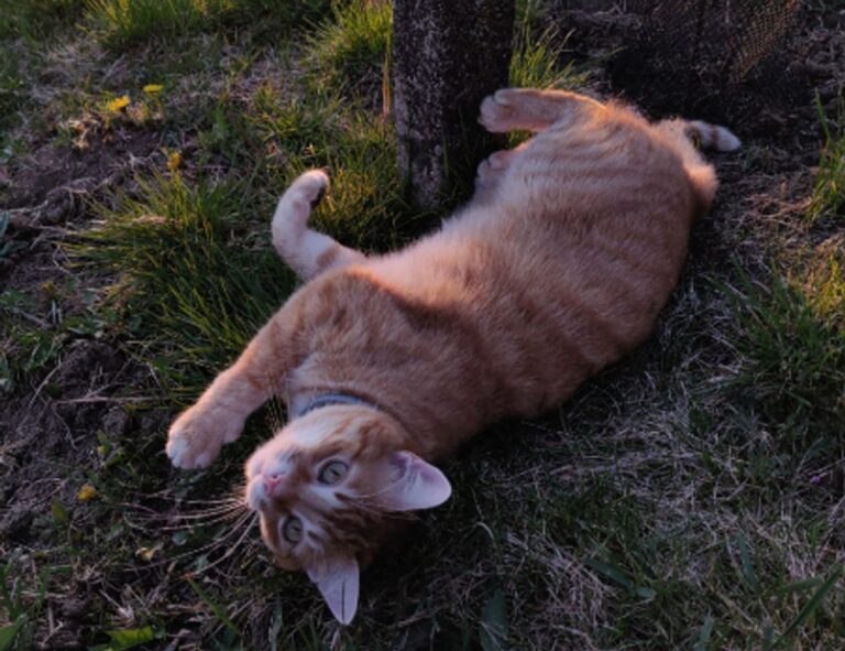 photoshop guide gfxpixelment