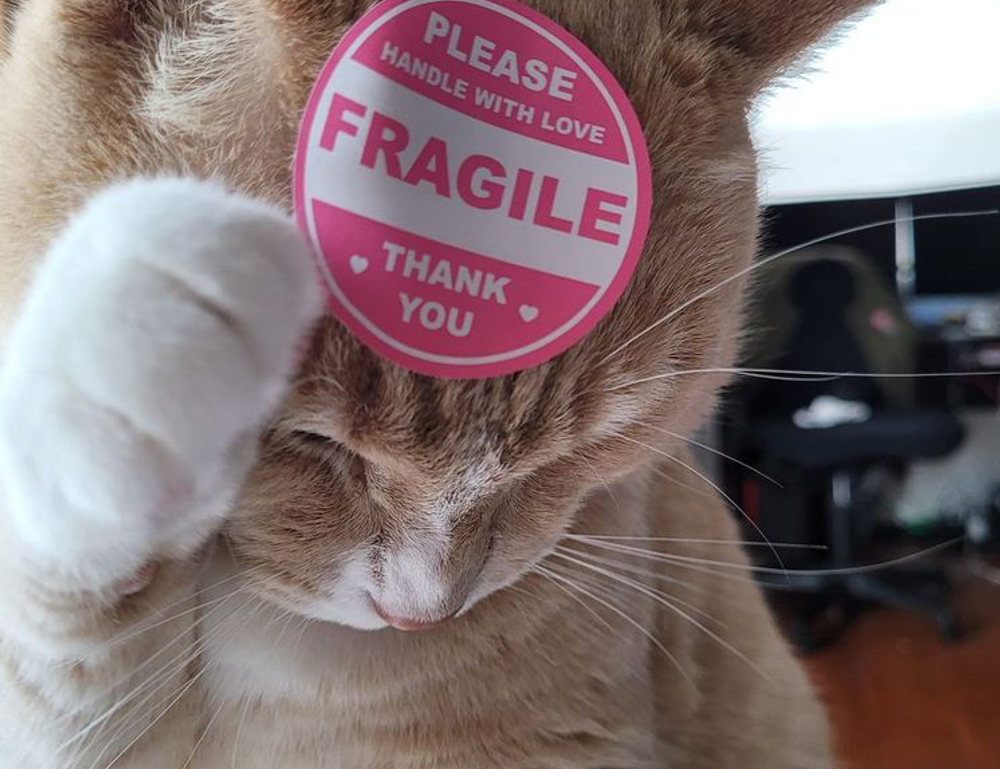 scookietech world techie news by simcookie