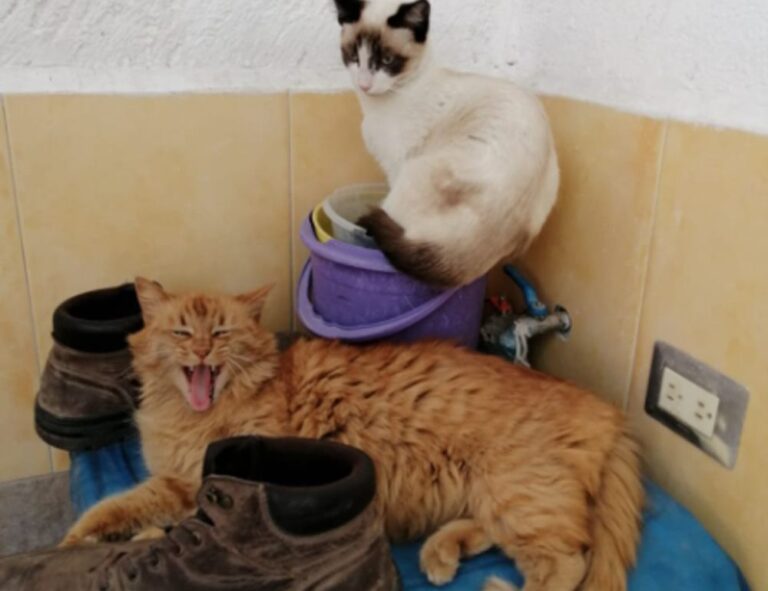 tech updates gfxpixelment