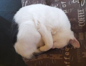 technoly news fntkech