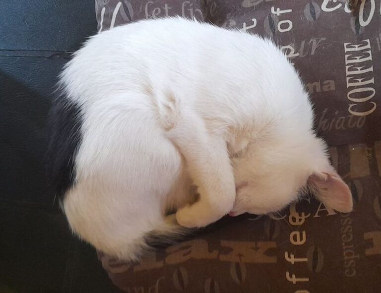 technoly news fntkech