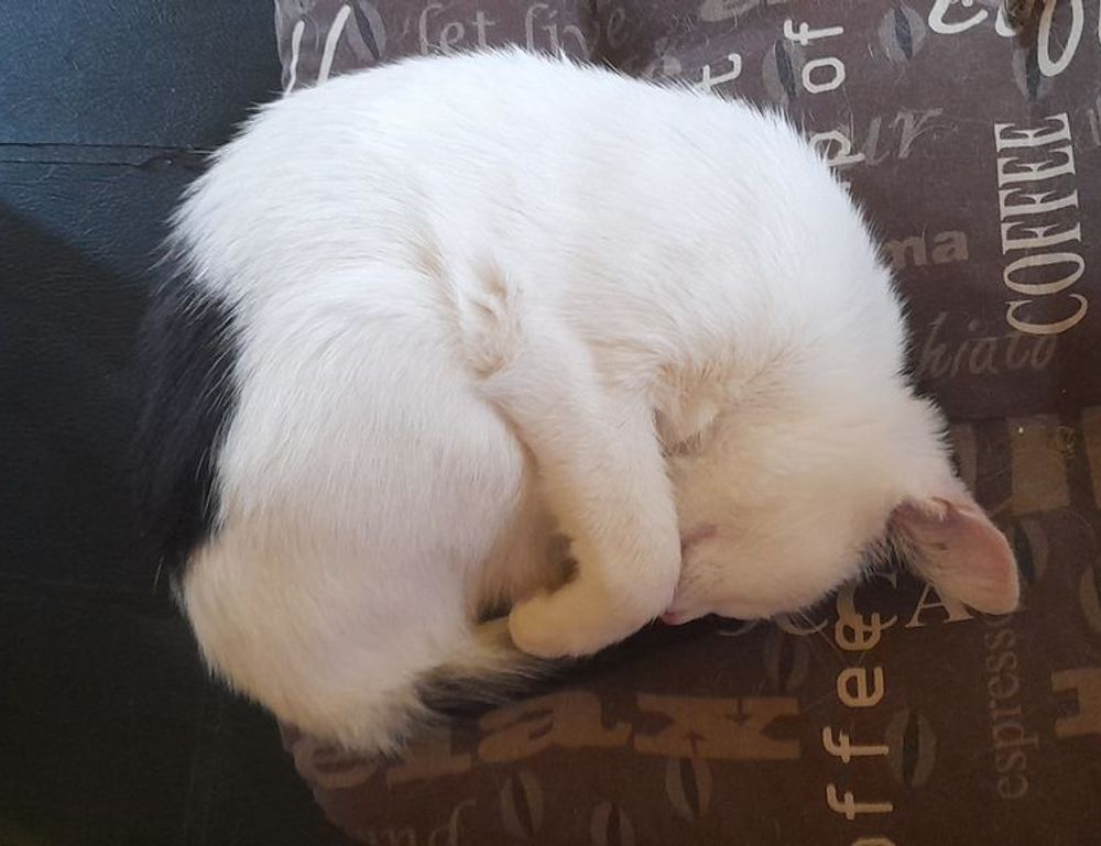 technoly news fntkech