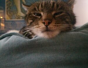 todays tech news scookietech