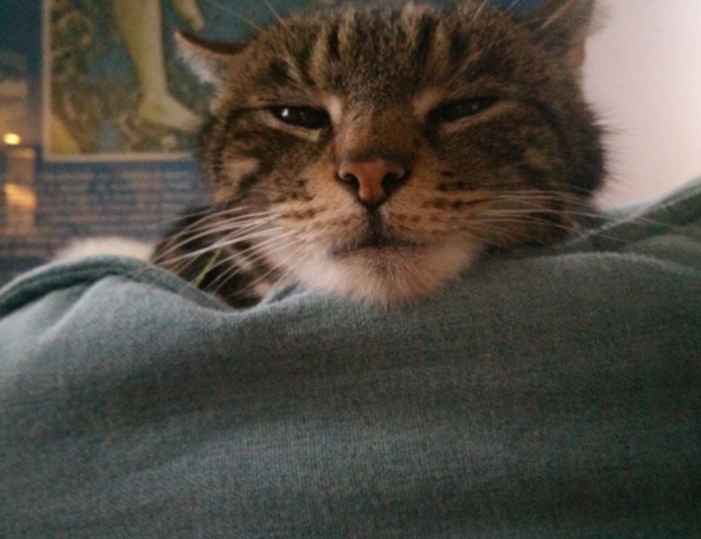 todays tech news scookietech