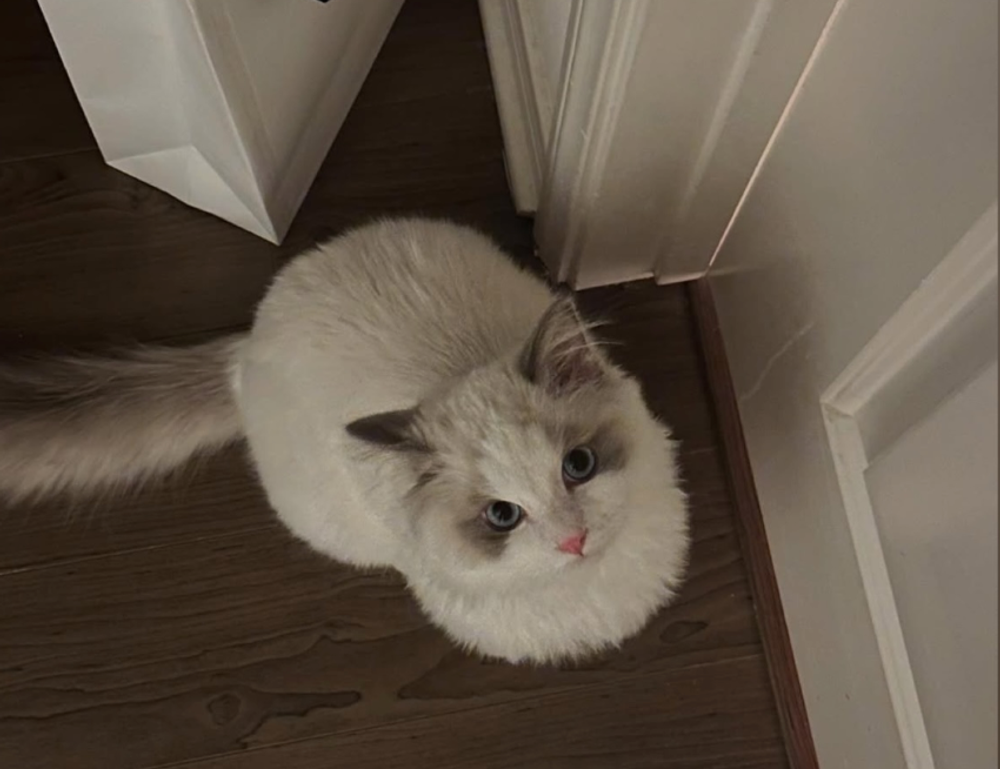 top tech news scookietech