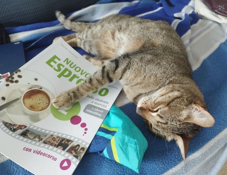 trending news gmrrcomputer