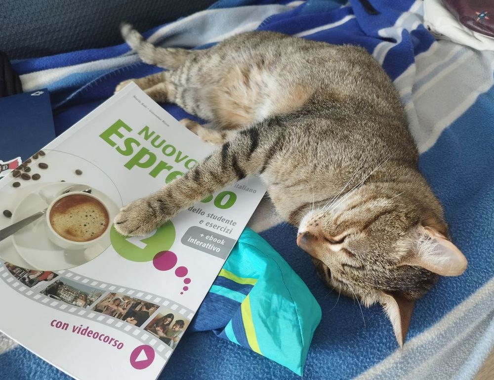 trending news gmrrcomputer