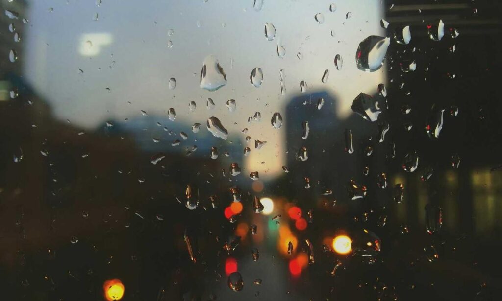 what are cybersecurity software wbsoftwarement