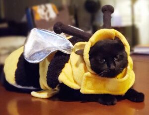 what format for logo design flpsymbolcity