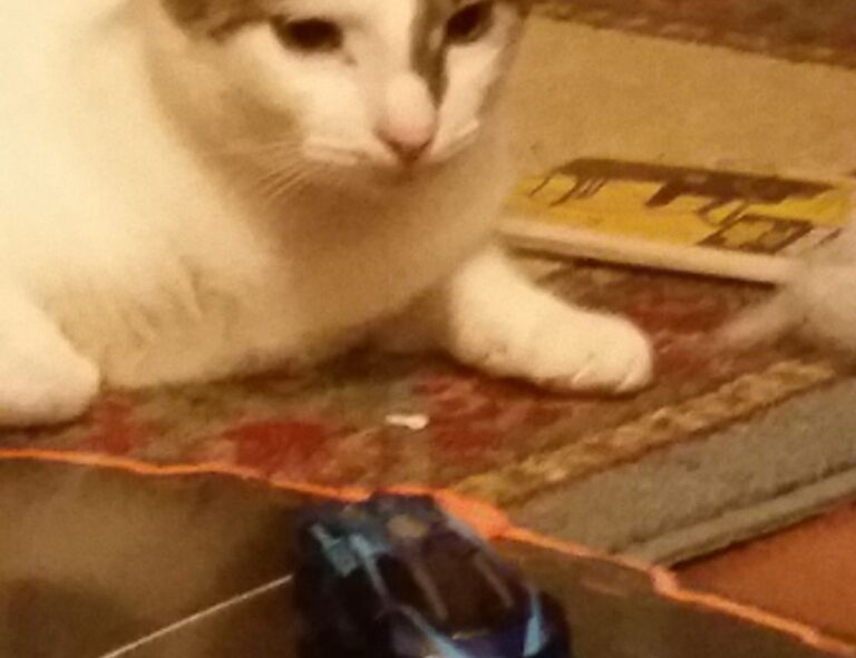 what is a tech guide roartechmental