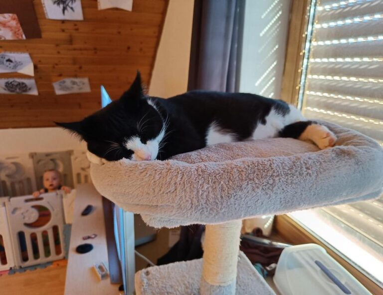 what new tech is coming out scookietech