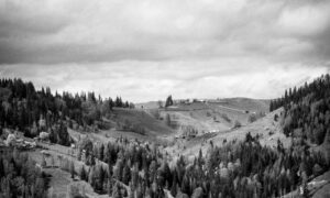 which is the best software to design logo gfxpixelment