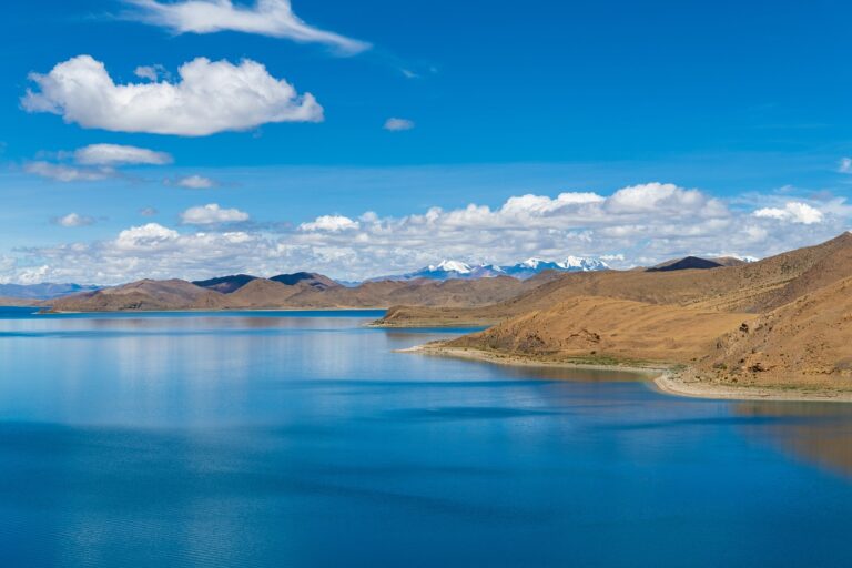 which logos package should i buy flpsymbolcity