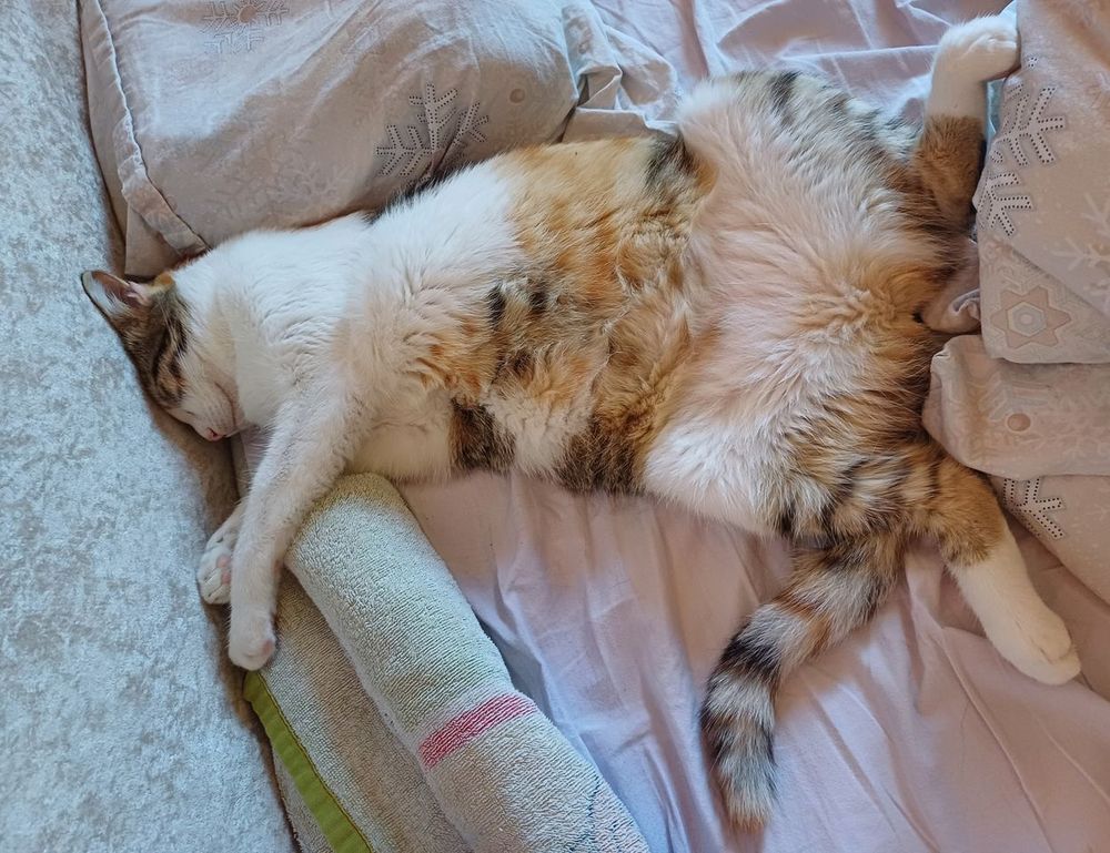 which tech jobs are in demand jotechgeeks