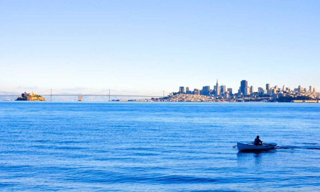 why technology cannot replace humans roartechmental