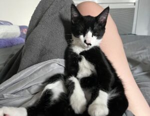 why updates are important jotechgeeks