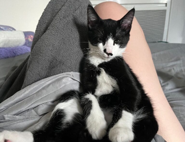 why updates are important jotechgeeks