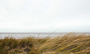 install bavayllo mods new version