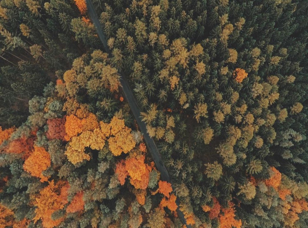 Getting Started: A Quick Walkthrough