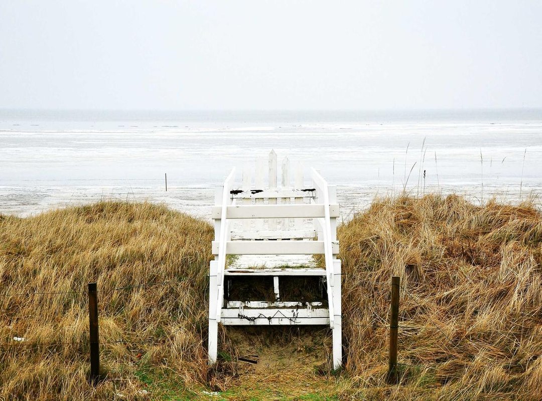 Beyond Appearances: The Tenor's Lifestyle, Health, and Passions