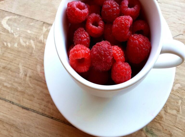 inlocuitor piracetam