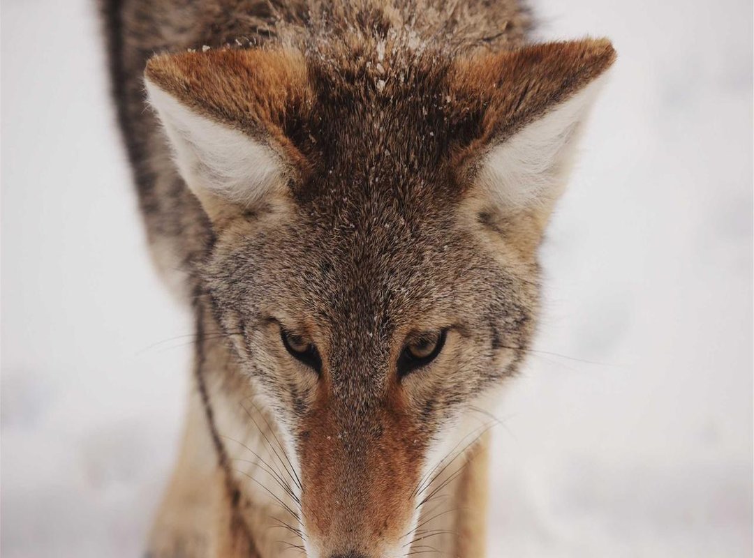 Accessorizing Your Look: The Details That Make the Difference