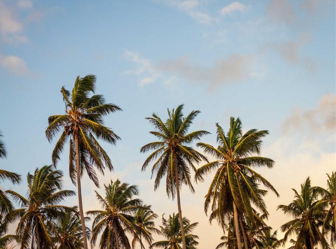 The Long-Awaited Reunion: A Private, Emotional Meeting