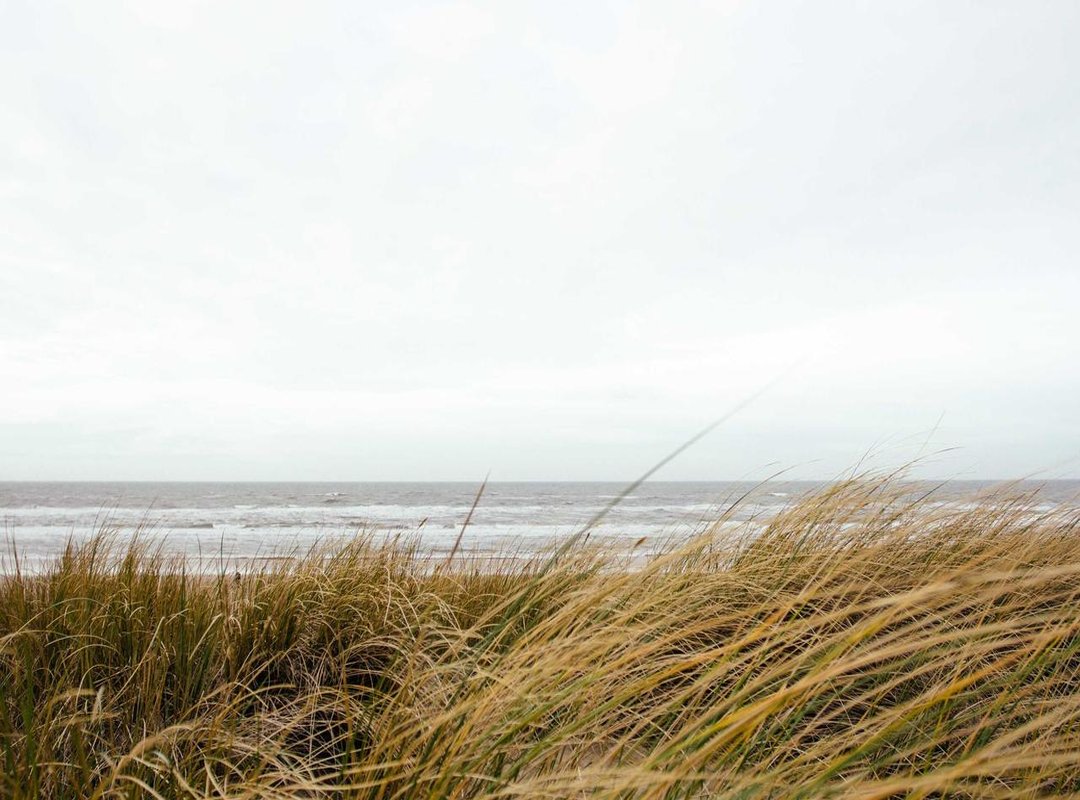 Creating a Modern and Stylish DP: Step-by-Step Guide