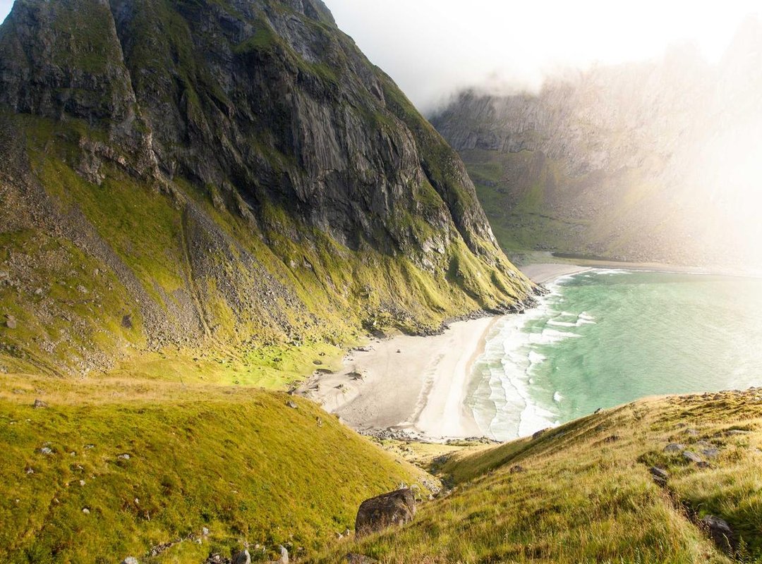 Beyond the Garden: Unique and Uncommon 'I' Vegetables