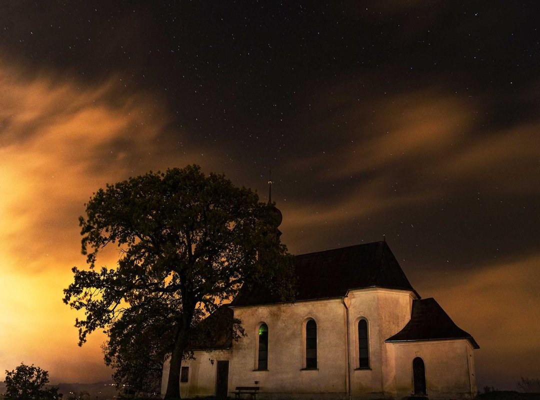 Getting to Know Sebastian Klein: From Rising Star to Acclaimed Actor